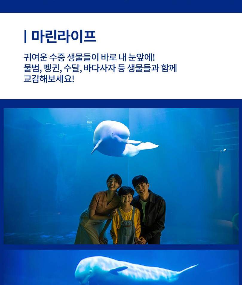 아쿠아플라넷 여수 입장권