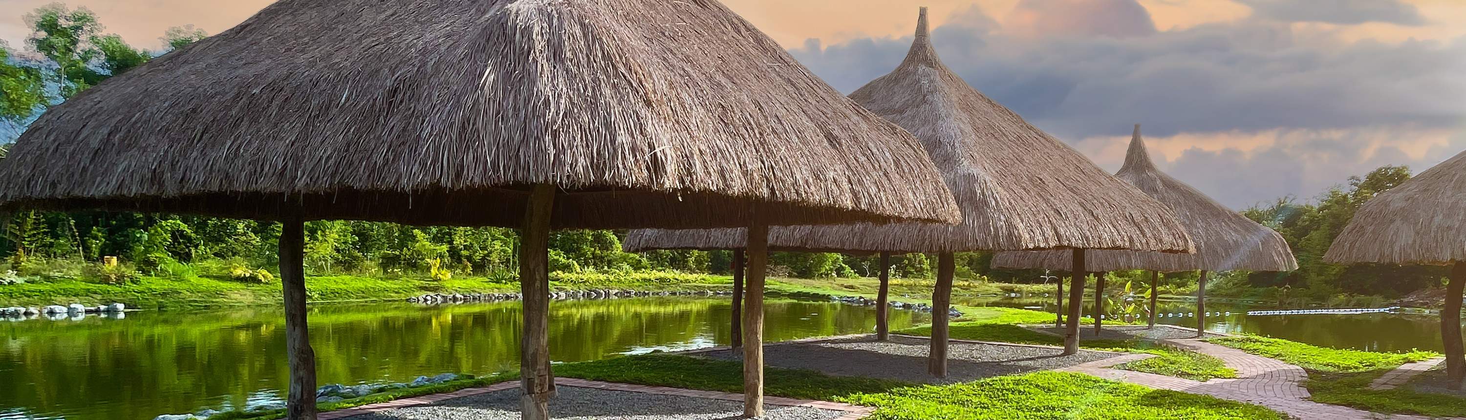 사우스 팜 팡라오의 푸르른 녹음