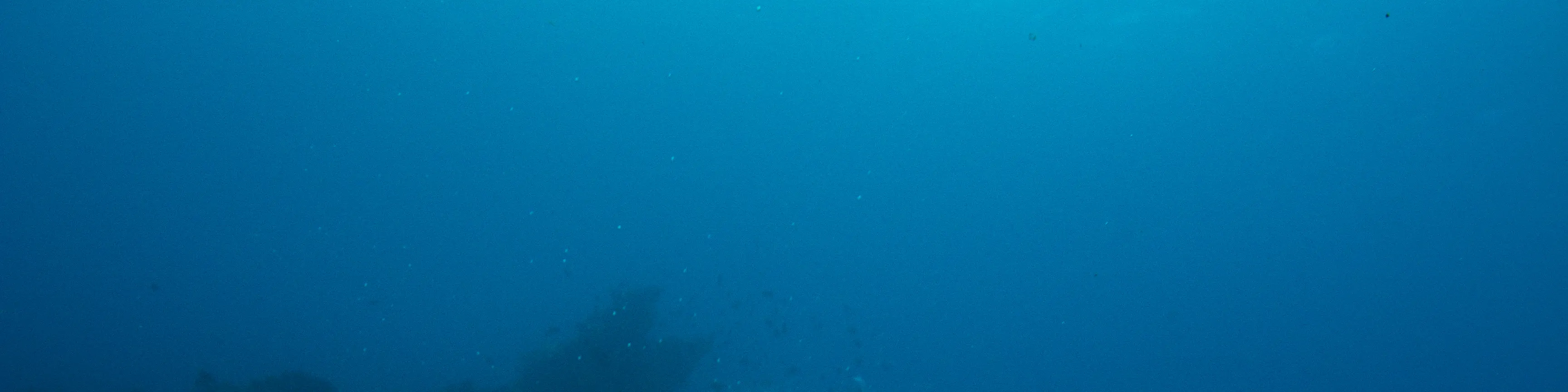 PADI 开放水域潜水员