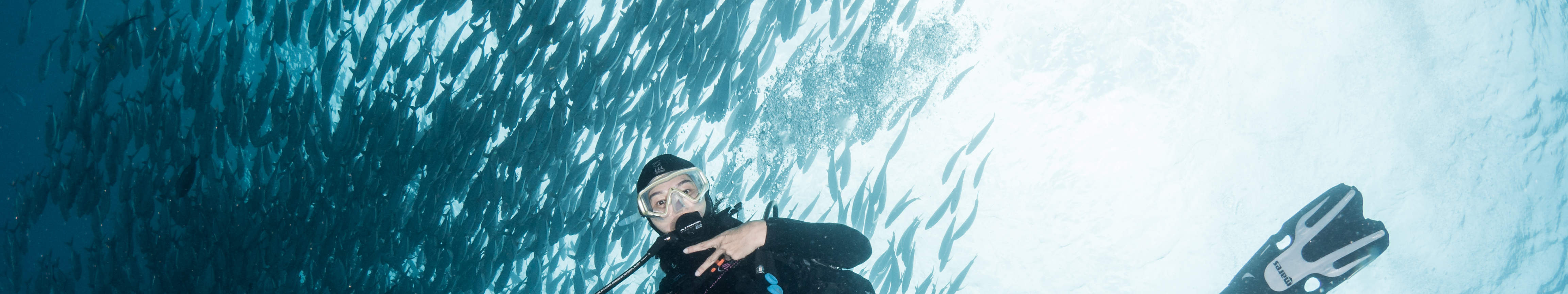 시파단 펀 다이빙 당일 여행