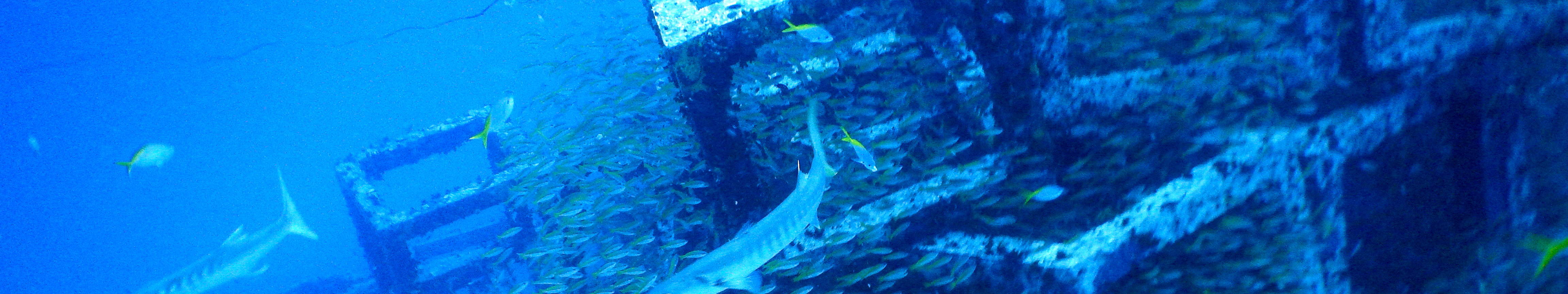 PADI AOW Diver in Koh Samui with PADI 5 Star Dive Center Explore the