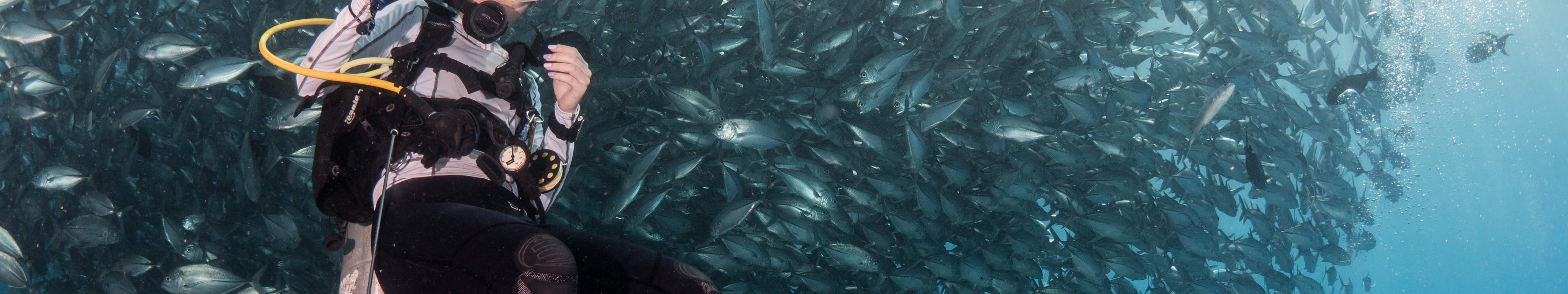 시파단 펀 다이빙 당일 여행