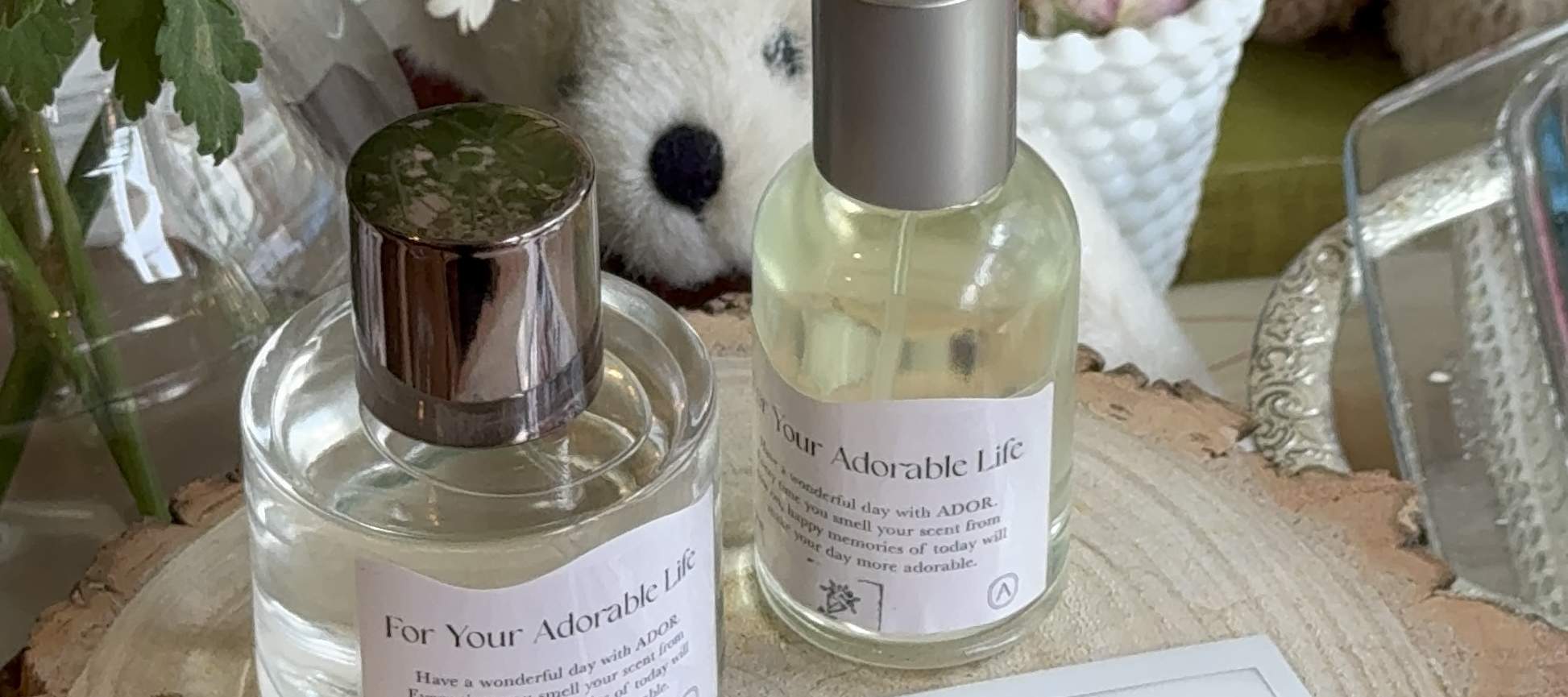 Workshop zur individuellen Parfümherstellung bei ADoR in Gwangalli, Busan 