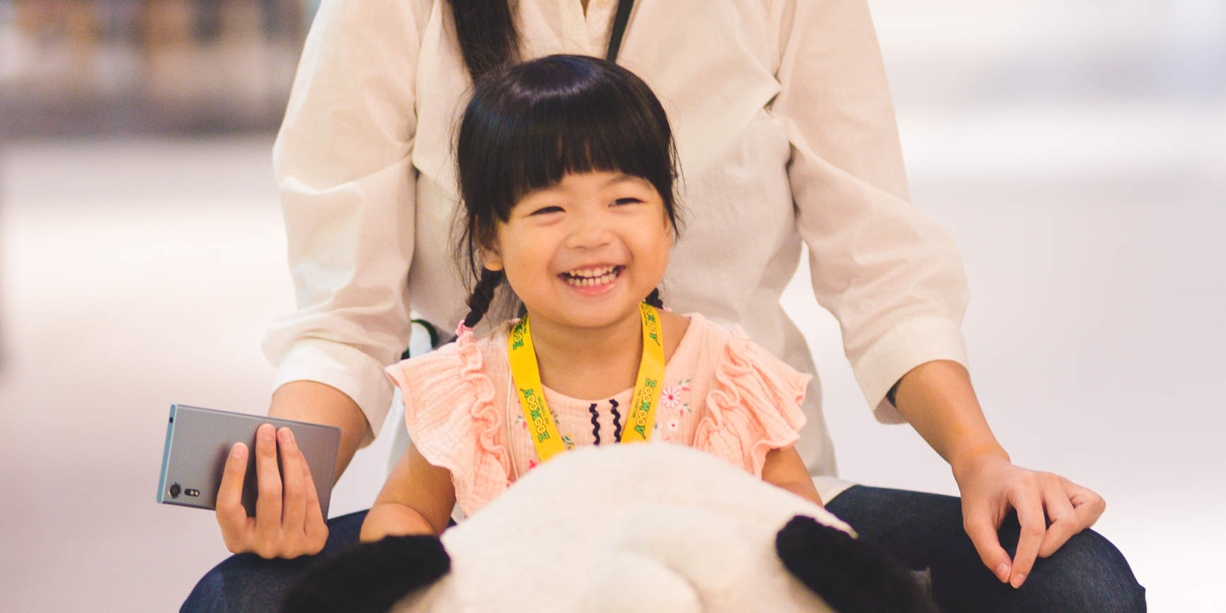 Paseos en Zoomoov & Campos Alegres en Singapur