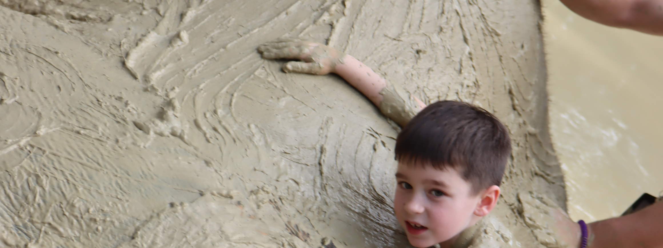 ประสบการณ์ปางช้างกระบี่