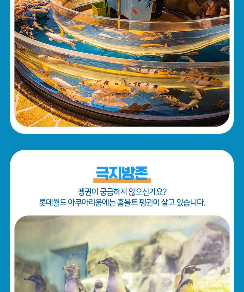 서울스카이 + 롯데월드 아쿠아리움 입장권