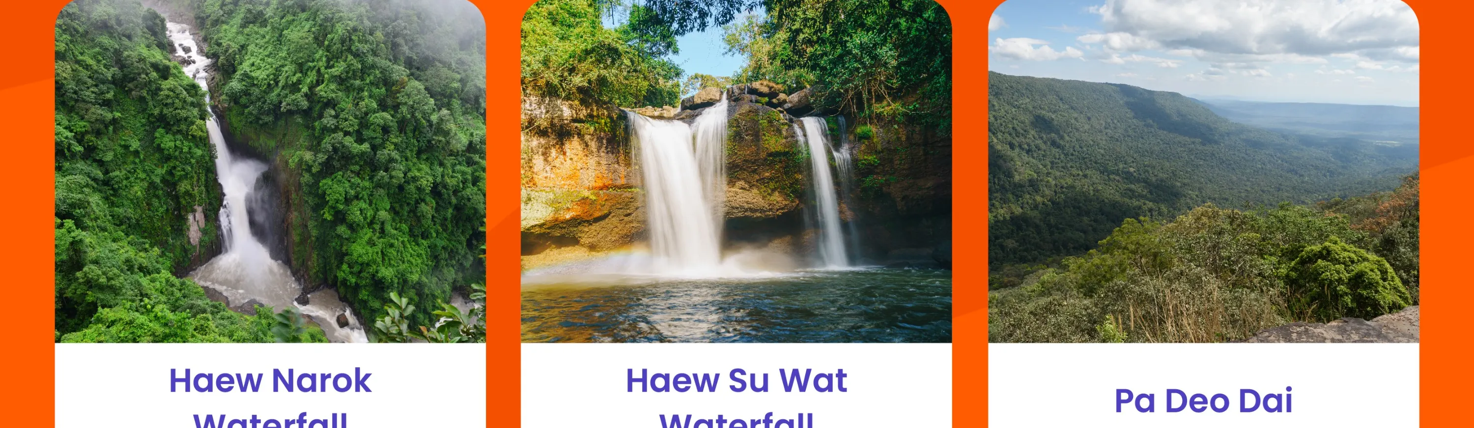 Khao Yai Private Car Charter Custom Tour From Bangkok National Park Palio Village Chok Chai Farm And More Klook客路