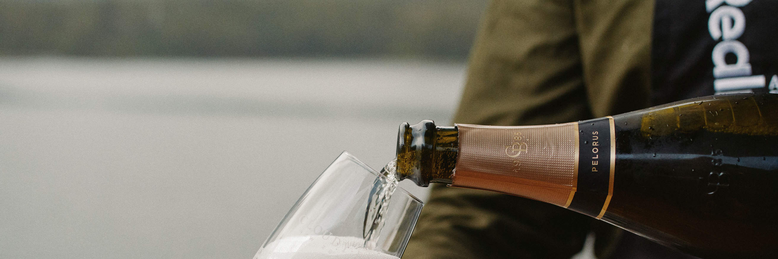 Бизнес-класс в Милфорд-Саунд - RealNZ/Altitude Tours