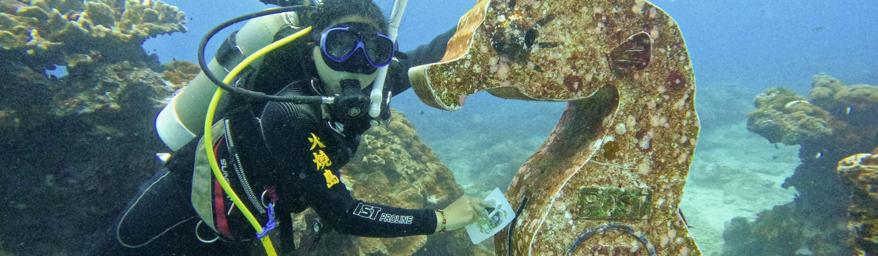 Green Island Huoshao Island Diving PADI OW・AOW・Freediving License