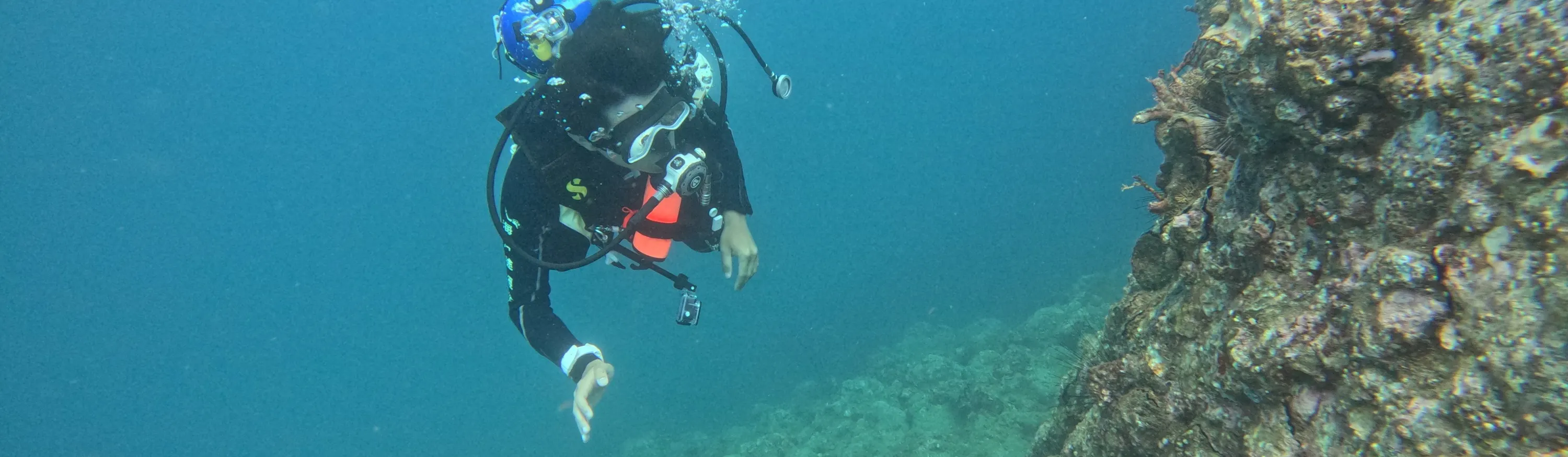 boatdiving-Discovering scuba diving,fundiving