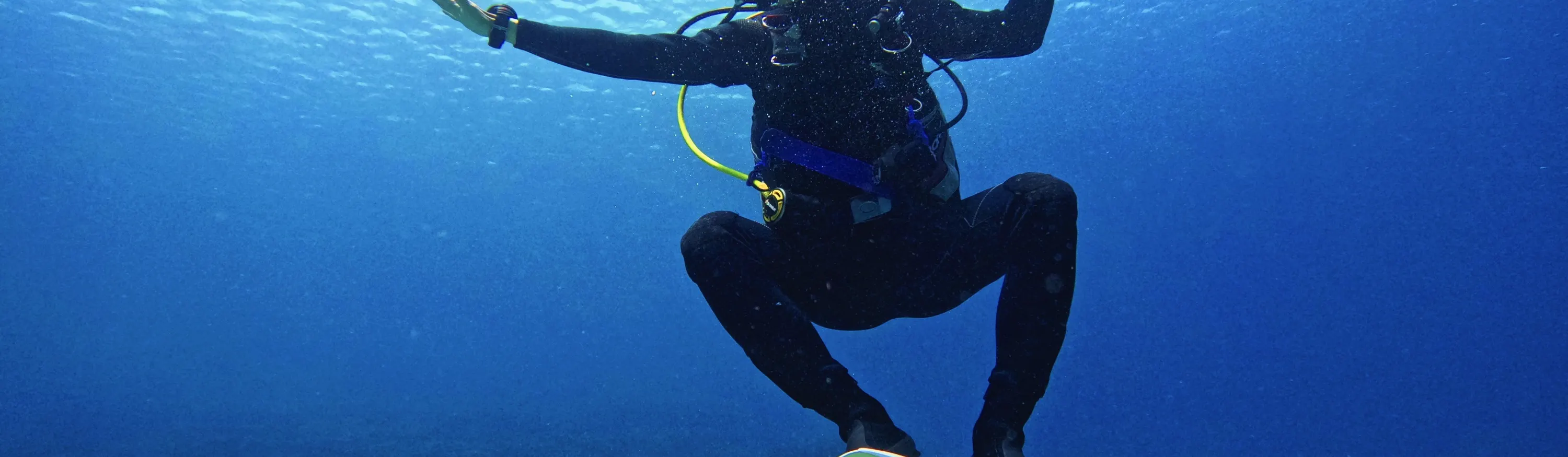 绿岛: 火烧岛 - 潜水 (PADI OW / AOW / 救援Rescue / 自由潜水考照 / 体验潜水 / 旅游潜水
