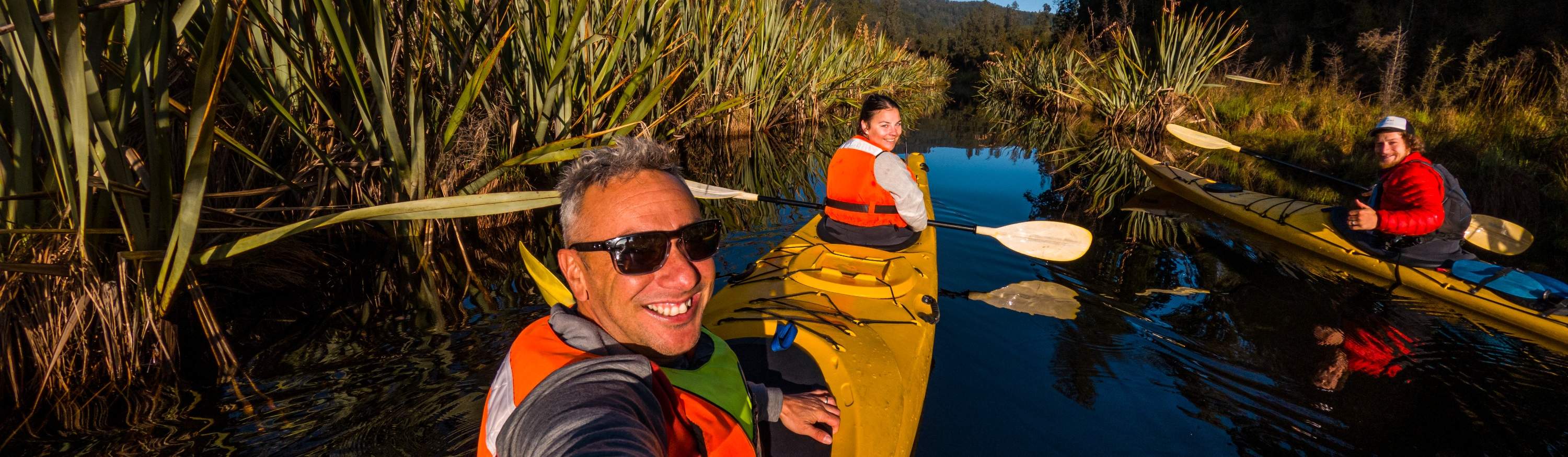 Исследуйте тропический лес и заповедник киви.