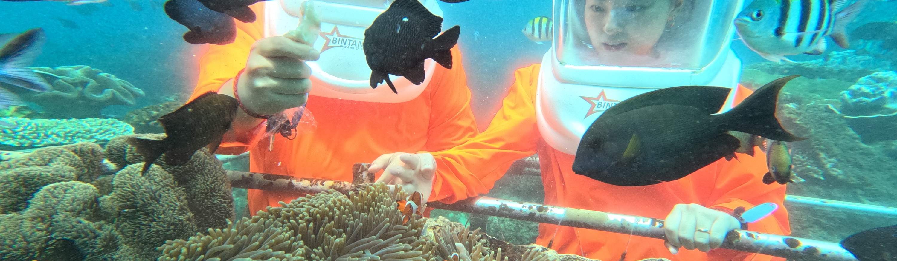 눈부신 바다 전망을 감상하고 다채로운 해양 생물을 만나보세요!