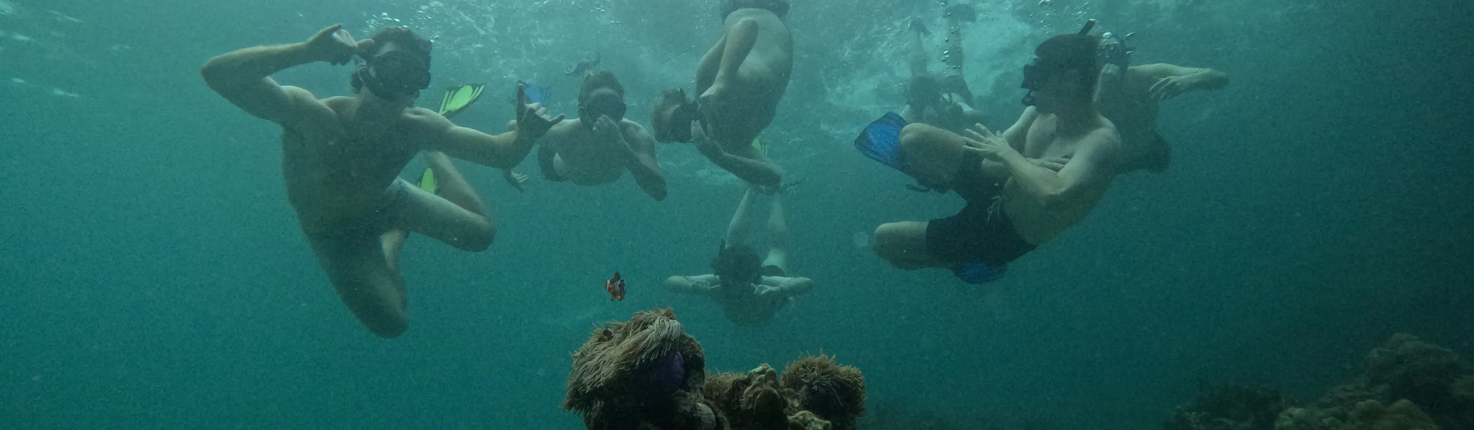 4 岛浮潜日落之旅 + 生物发光夜泳。