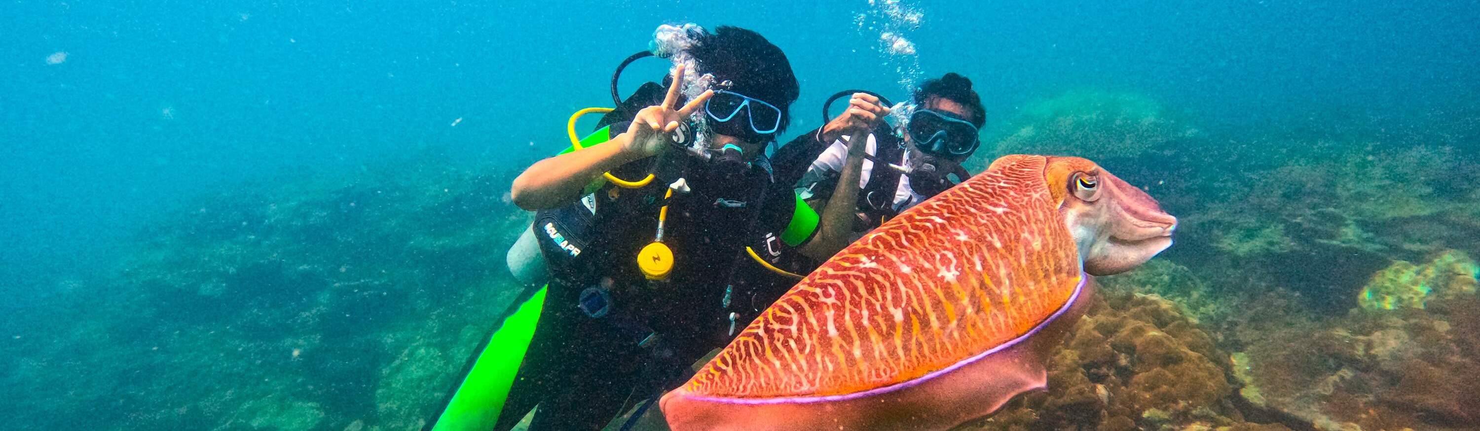 Join In Cat Island Phuket Scuba Diving, Snorkeling Setengah Hari di ...