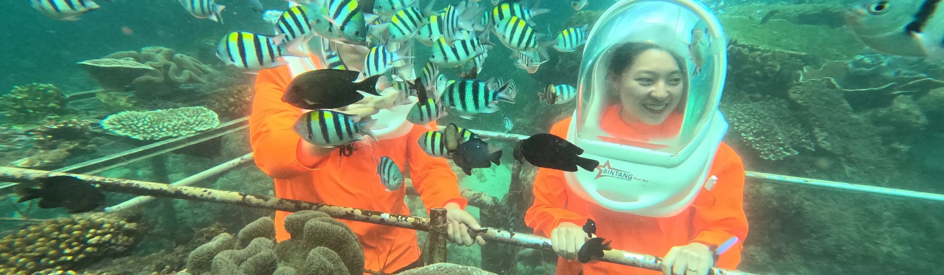 与 Bali Seawalker 一起体验水下行走的刺激