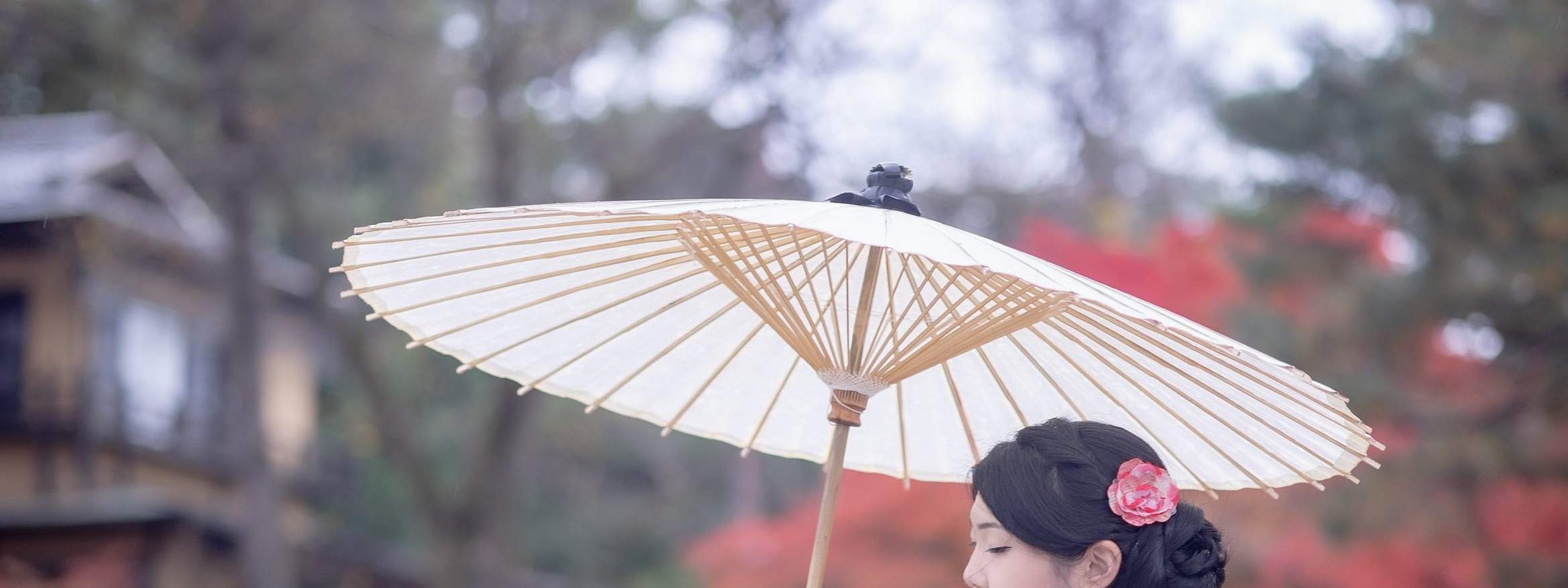 교토 사진 서비스