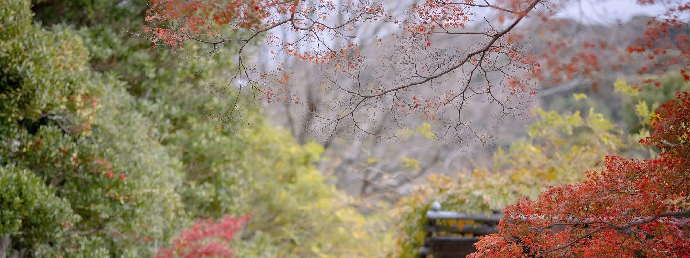 Servizi fotografici a Kyoto