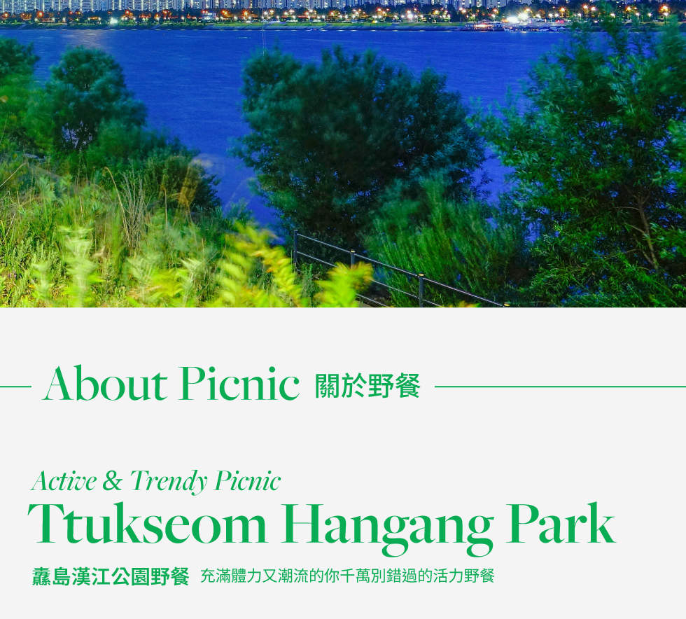 Seoul Han River Picnic Rentals (Ttukseom near Seongsu)
