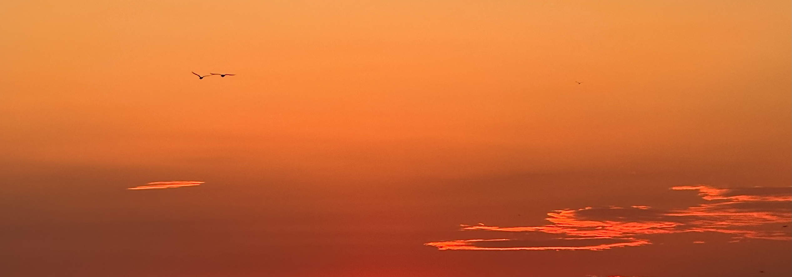 Croisière Spectaculaire au Coucher de Soleil à Istanbul : 3 Heures avec Exploration de la Rive Asiatique