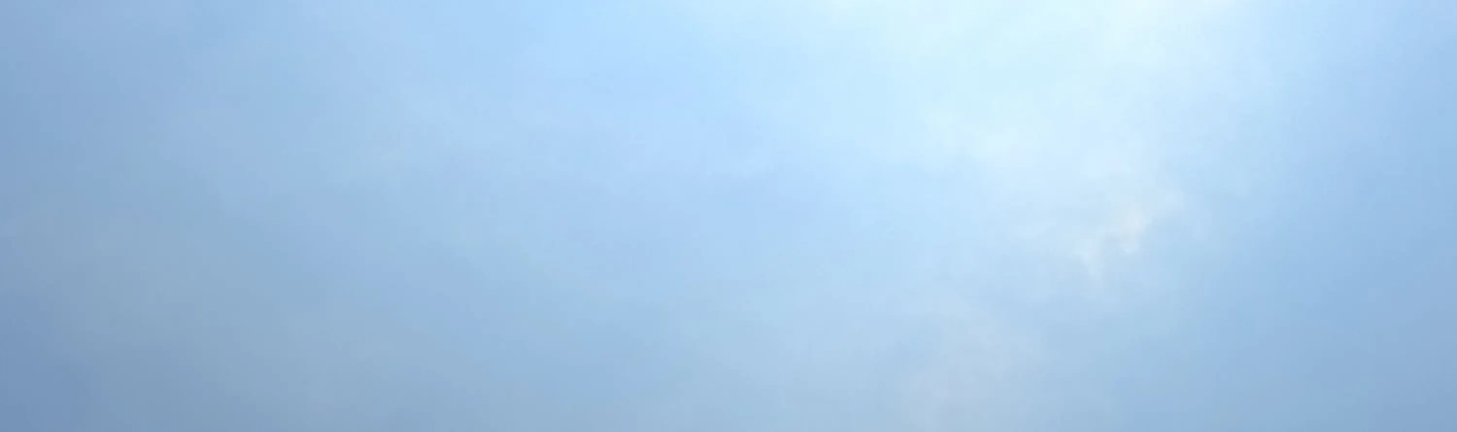参与者和飞行员对着镜头微笑