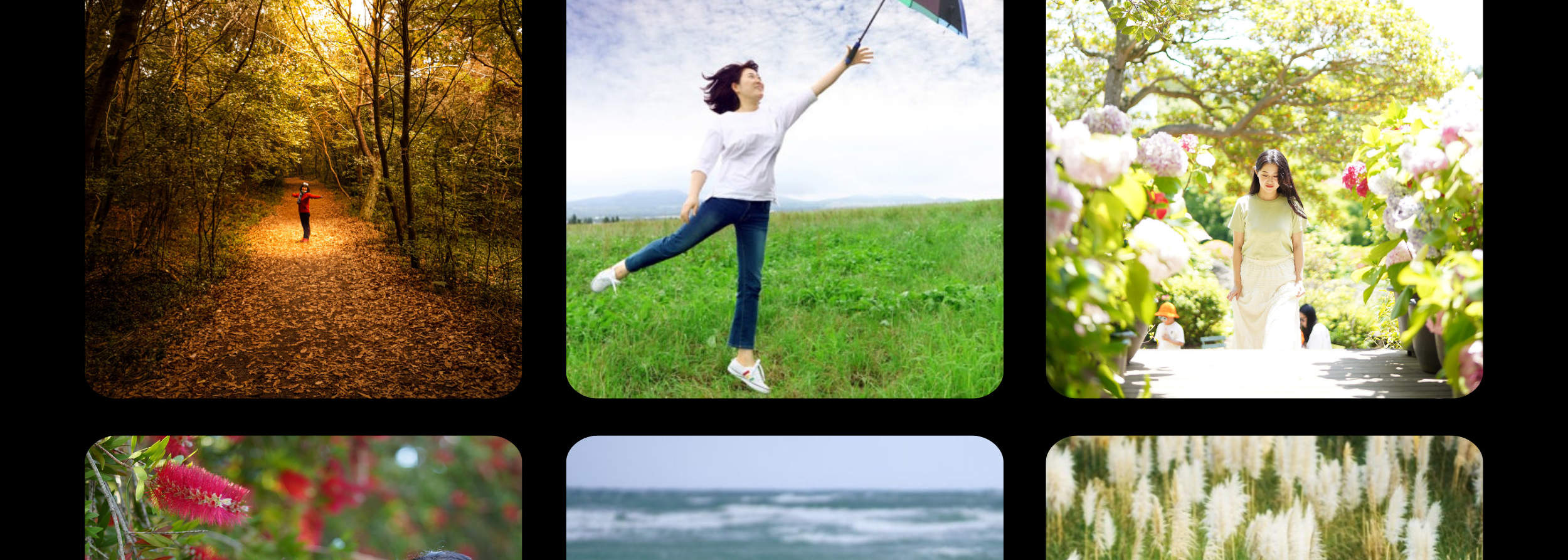 Pengalaman Fotografi di Mercu Tanda Jeju