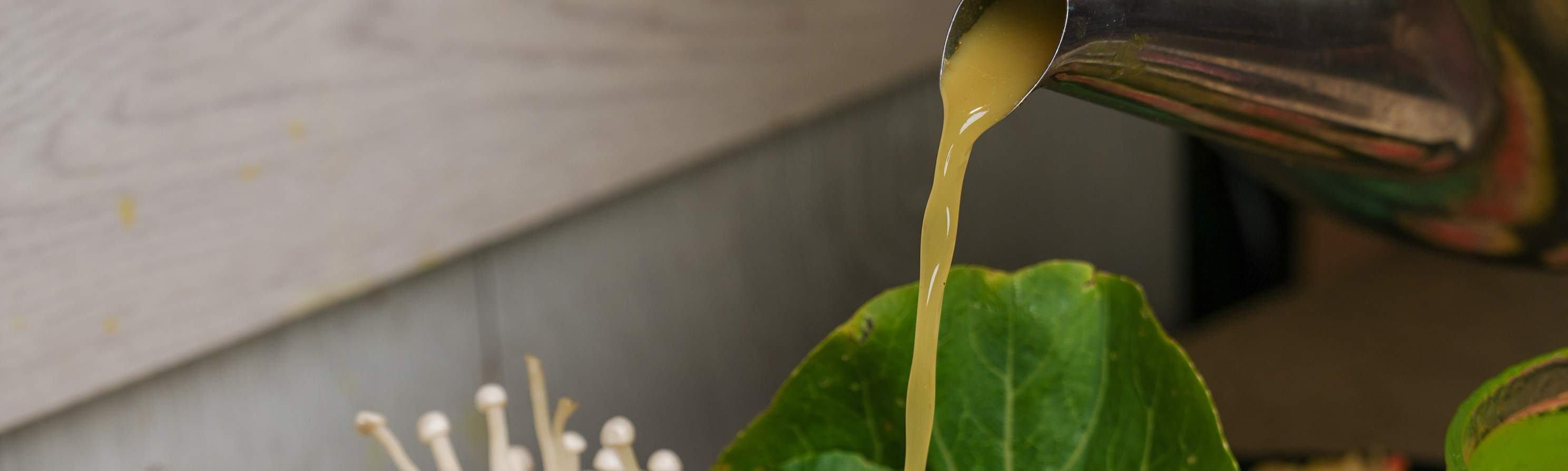 SMグランドセントラルのトン・ヤン・グリル＆しゃぶしゃぶ