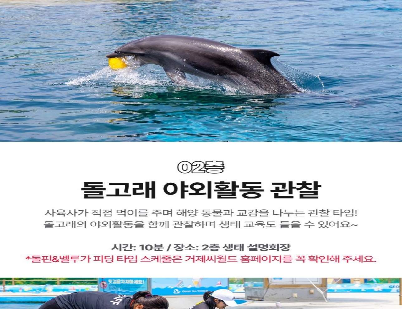 경남 거제 씨월드 입장권