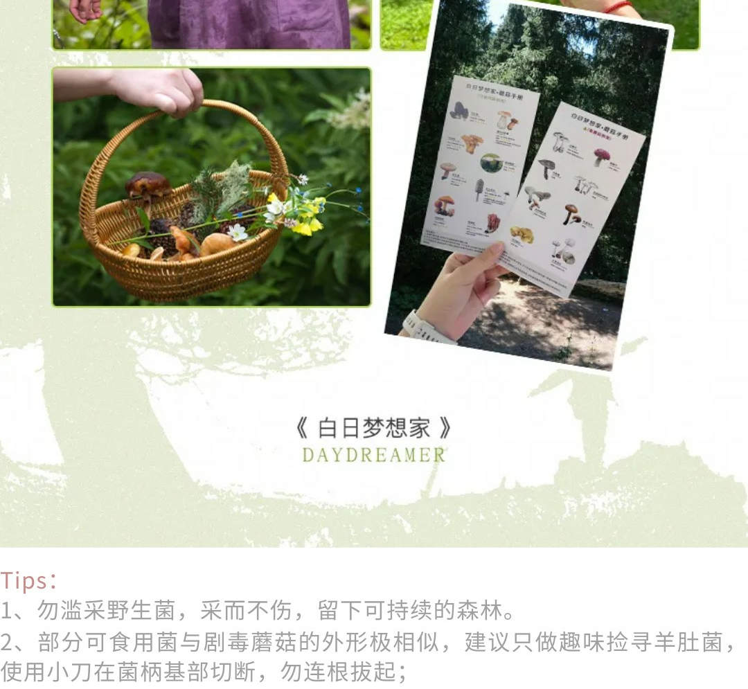 白日夢想家·自然人文攝影6天5晚 - Klook