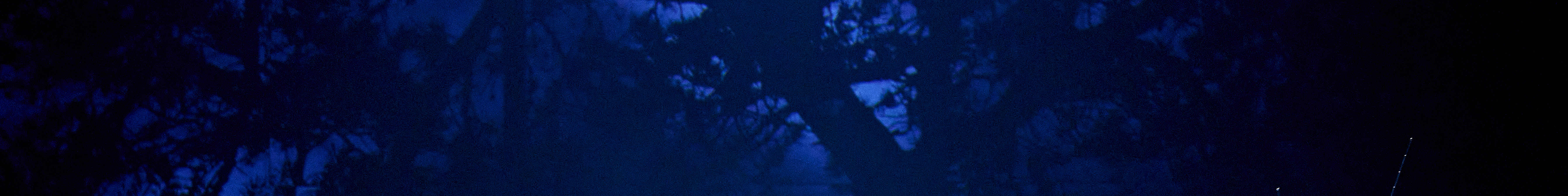 ตั๋ว Stranger Things The First Shadow ในลอนดอน