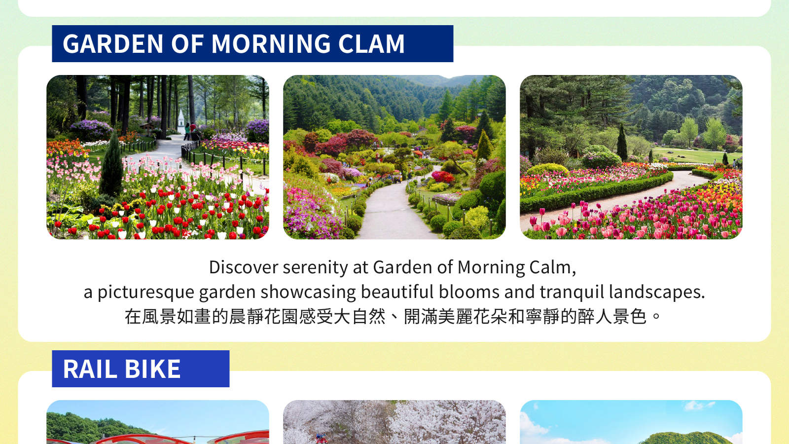 Аренда автомобиля с водителем в Сеуле: туры к Нами/Альпака/Сокчо/Каннын по местам съемок K-драм