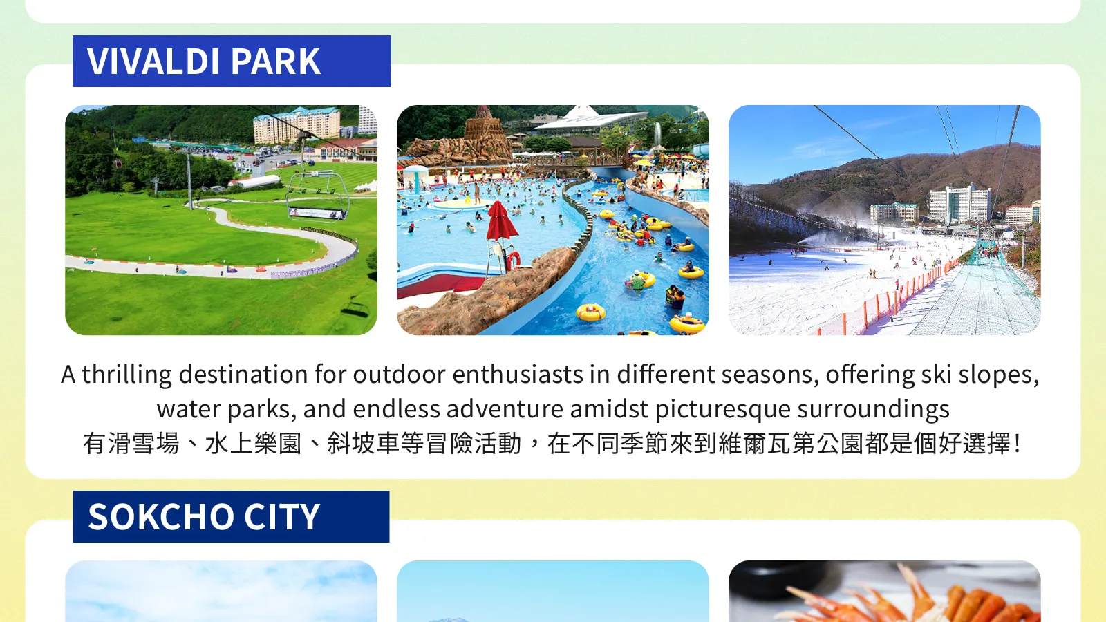 私人定製韓劇之旅：首爾包車及司機服務（南怡島 / 羊駝樂園 / 束草 / 江陵）