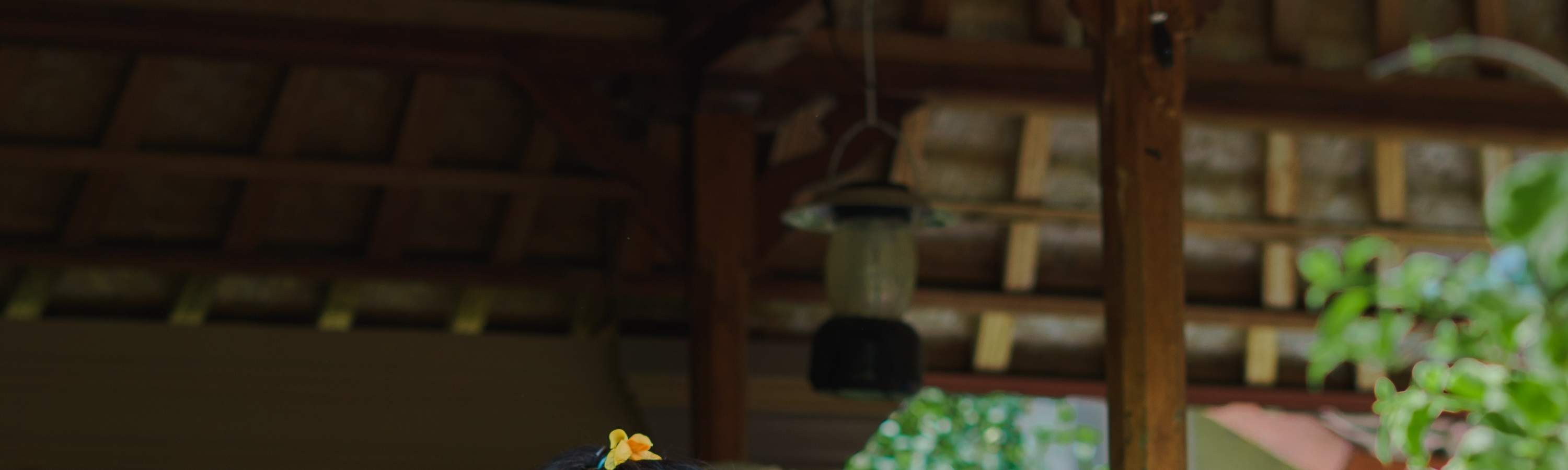 Viaggio di guarigione balinese, corso di cucina, ciclismo o esperienza di vita balinese al Bali Rural Commune