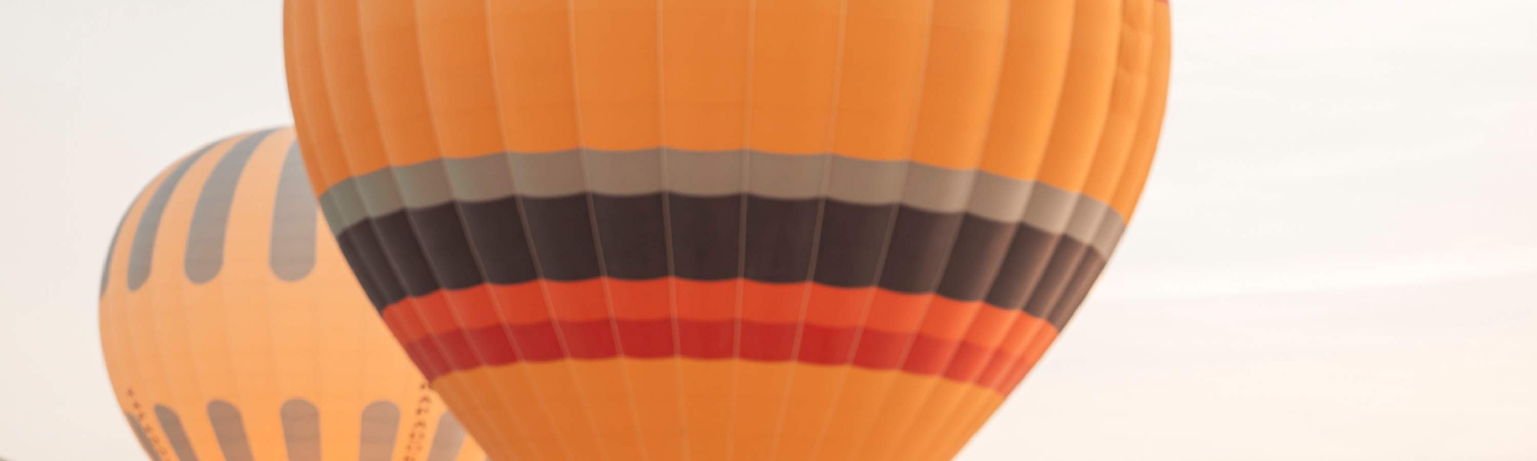 讓緞面的絲滑質感，為每張照片注入永恆的優雅