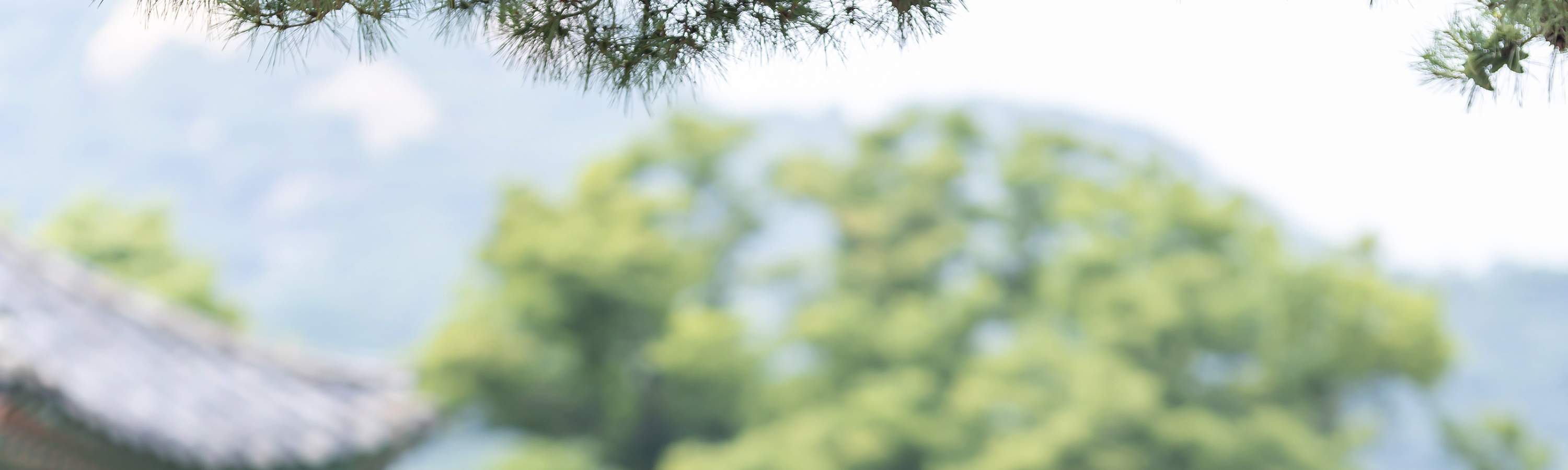 豪華屋外写真撮影（メイクアップ＋写真プリント付き）