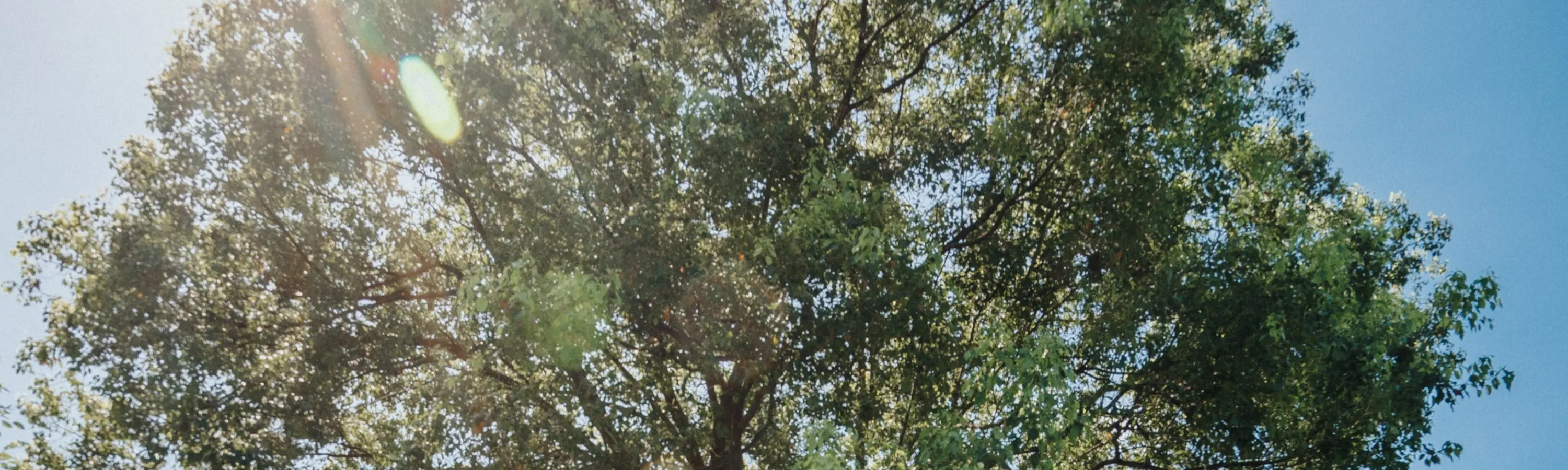 草木人心皆有情，在这私密的独家花园