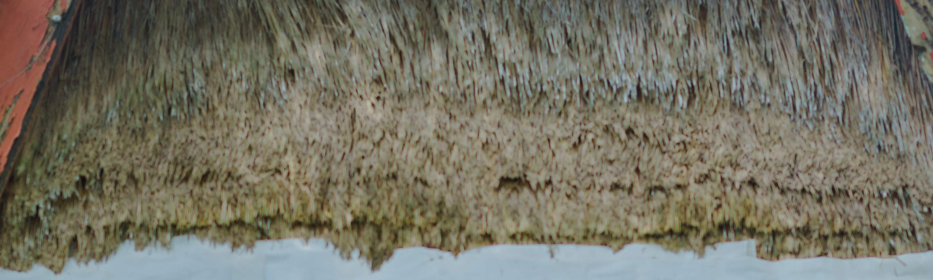 巴厘島Rural Commune探索之旅（烹飪體驗 / 騎行 / 療愈體驗）