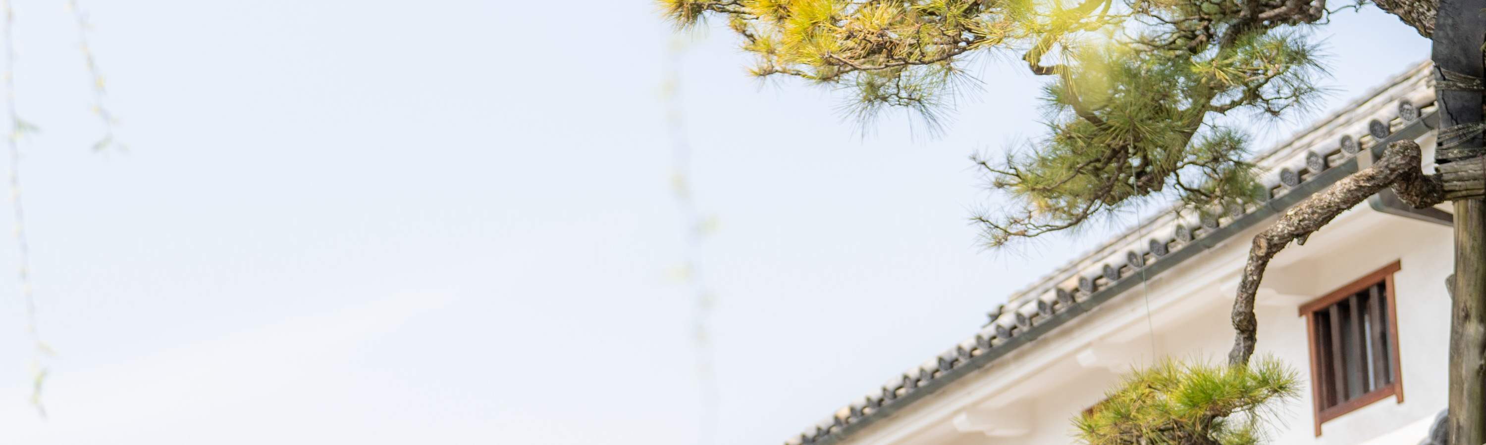 Potete vivere un'esperienza culturale immediata nell'area di Ivy Square, e indossare un kimono da VASARA la rende ancora più speciale. Ivy Square è una zona panoramica: il quartiere di Kurashiki Bikan, e ogni sua parte ha un alto valore di patrimonio cult