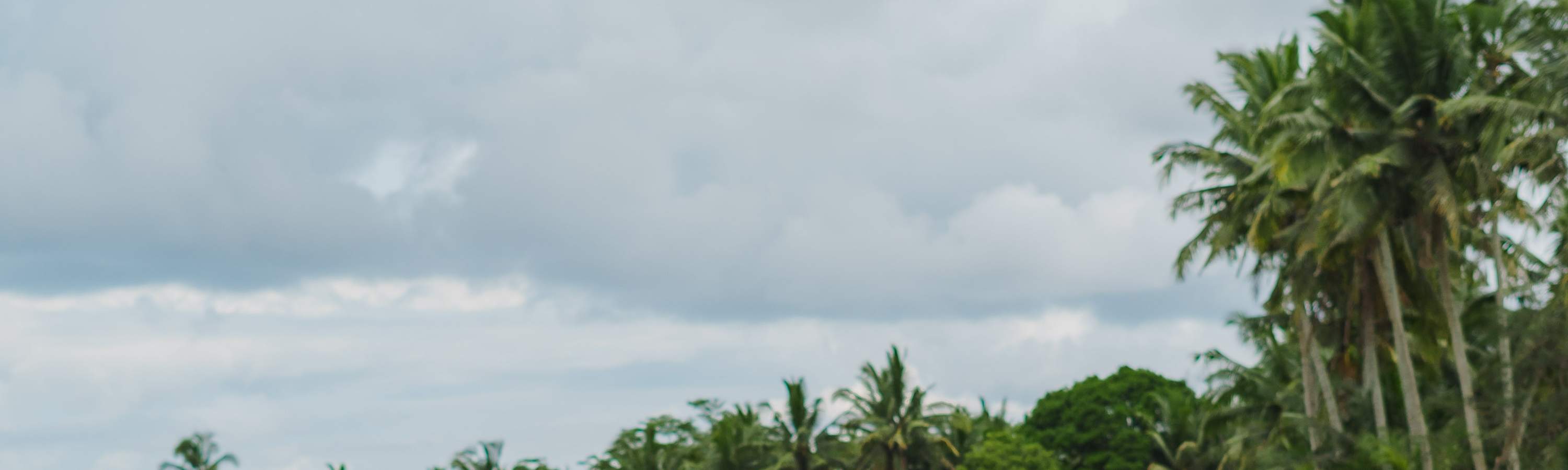 Viaje de curación balinesa, clase de cocina, ciclismo o experiencia de vida balinesa en Bali Rural Commune