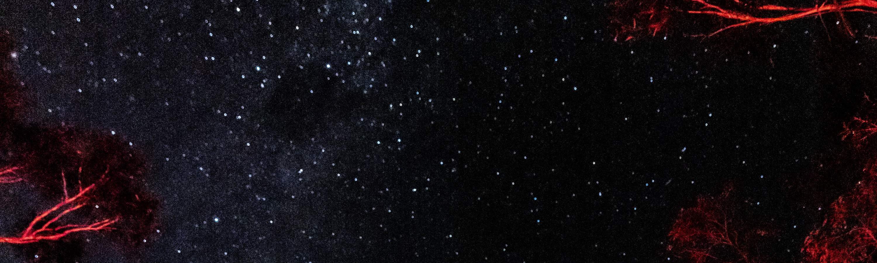 Observation des étoiles dans les Montagnes Bleues