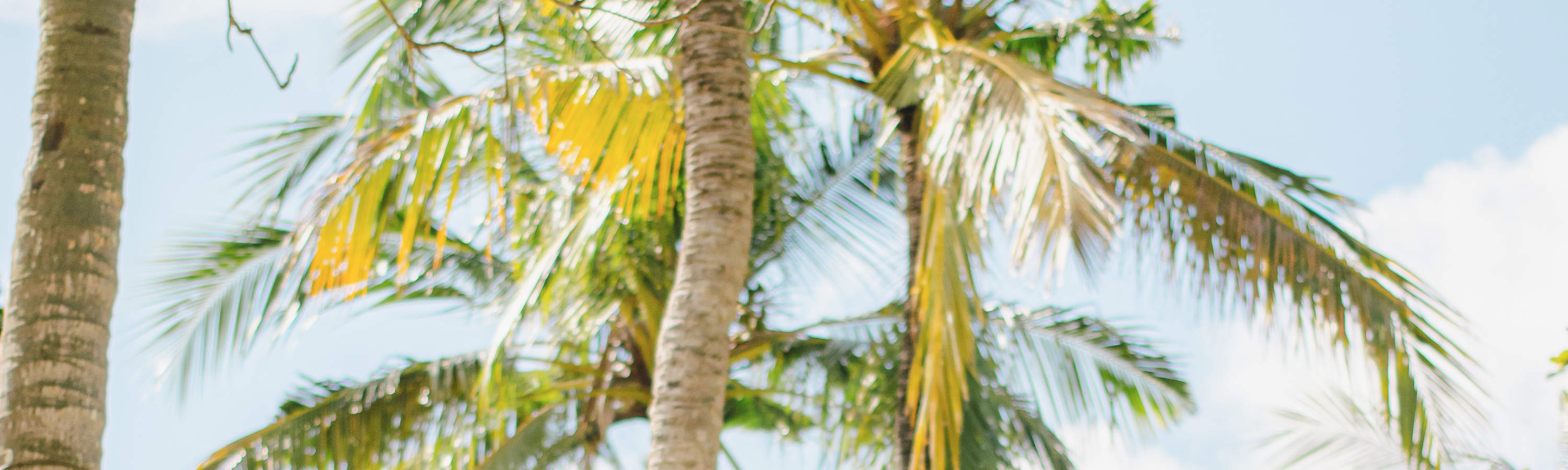 プライベート写真撮影体験（バリ）