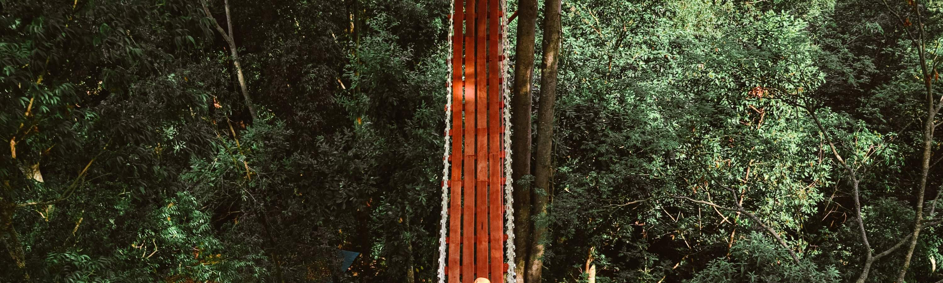 Trải nghiệm Zipline Rồng Bay ở Cha Mai