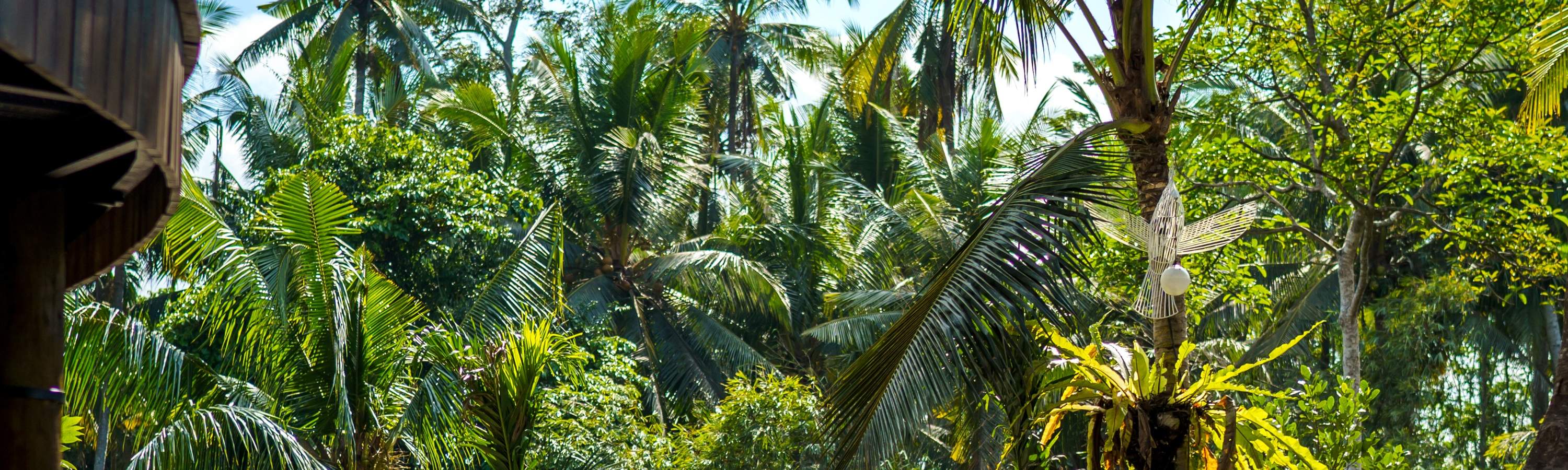 jungle floor seating