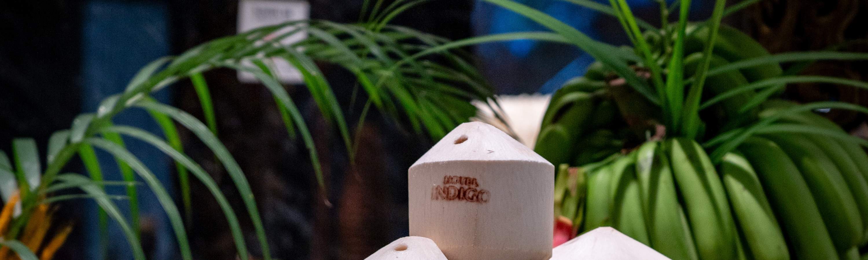 ビュッフェディナーフードプロモーション