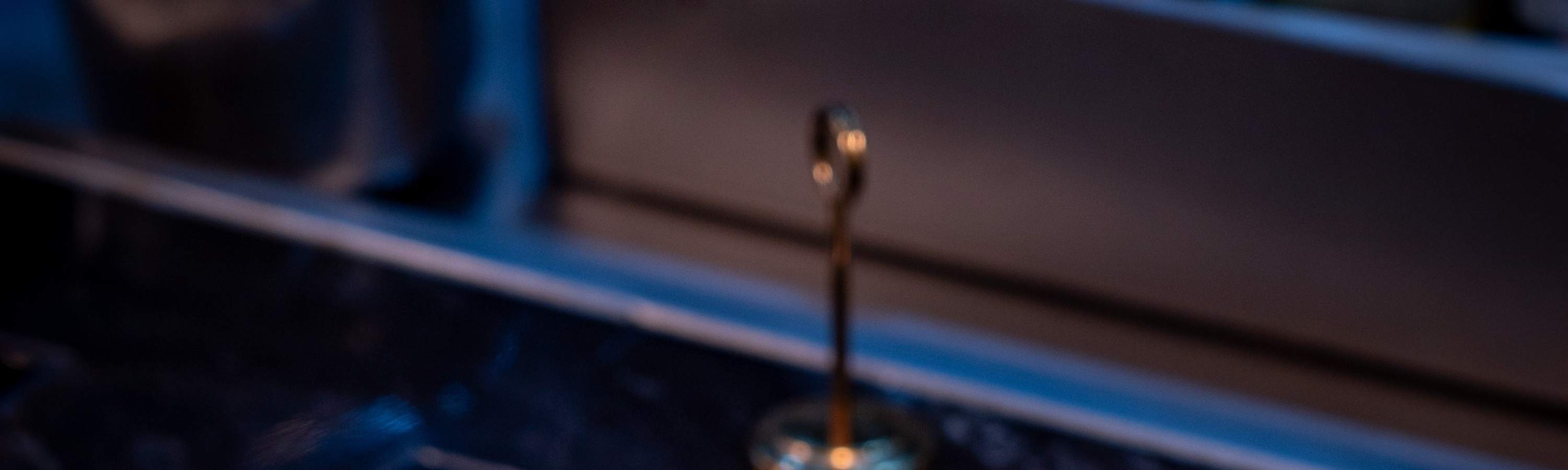 ビュッフェディナーフードプロモーション