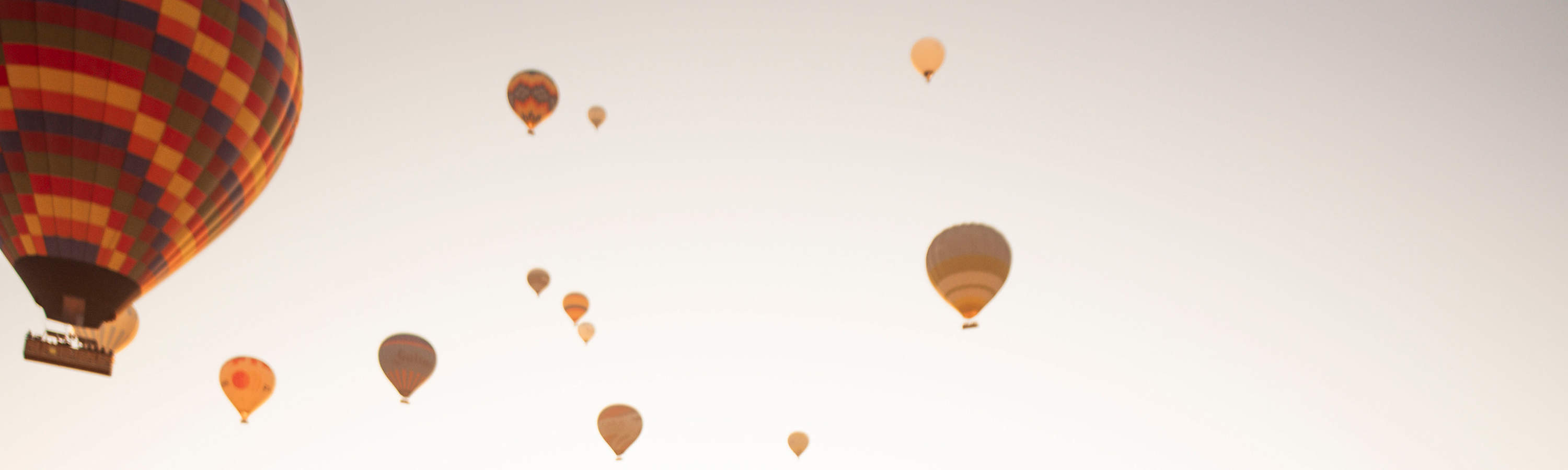 緞面優雅地擺動，每一張照片都找到完美的平衡點