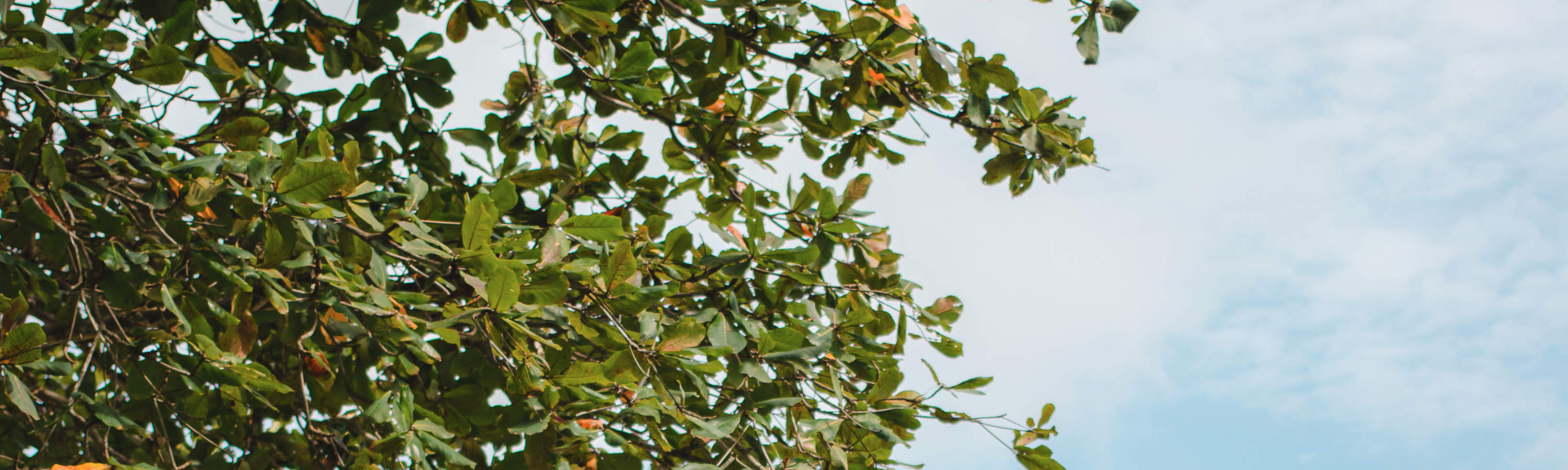 プライベート写真撮影体験（バリ）