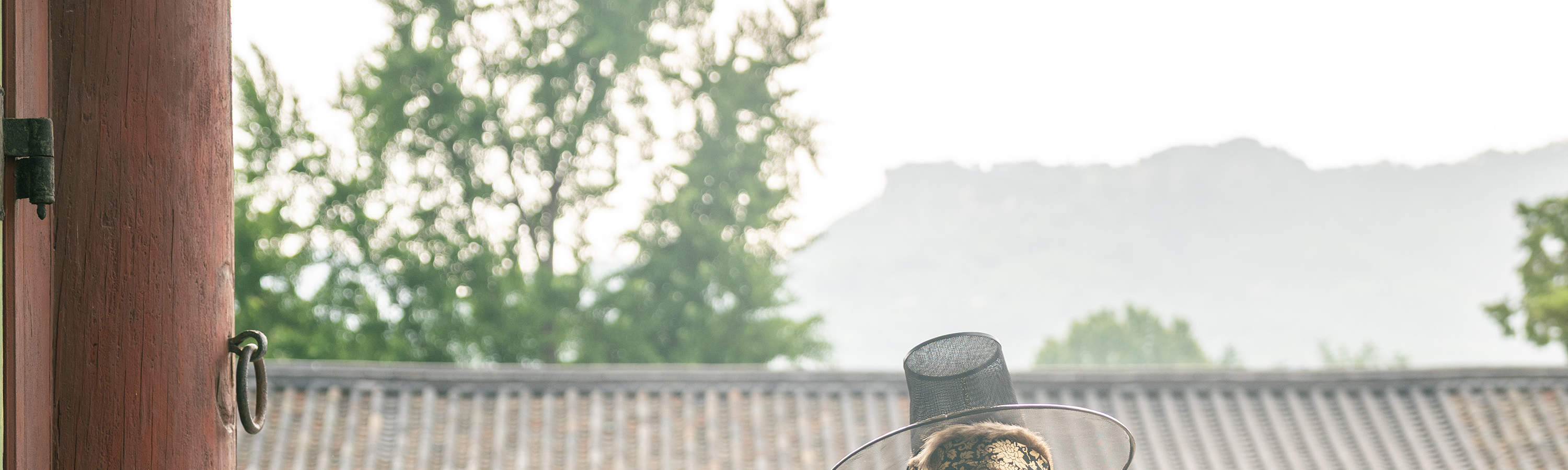 Esperienza di Servizio Fotografico e Video a Seoul