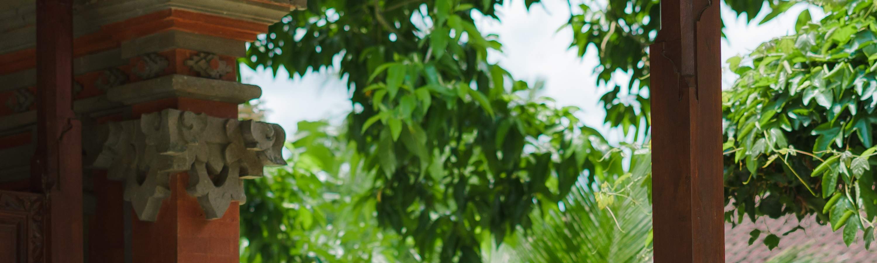 Viaggio di guarigione balinese, corso di cucina, ciclismo o esperienza di vita balinese al Bali Rural Commune