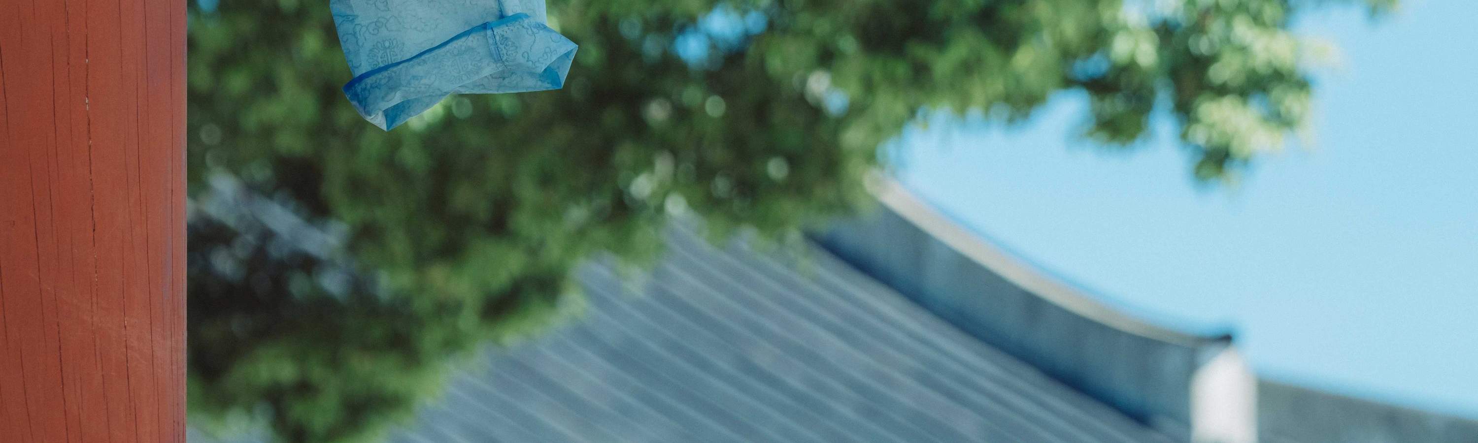 Esperienza di noleggio Hanbok Jeju Queen